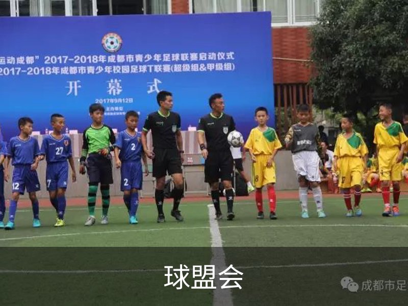 关于球盟会
